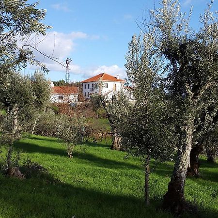 Quinta Quatro Ventos Bed & Breakfast Sertã Eksteriør bilde
