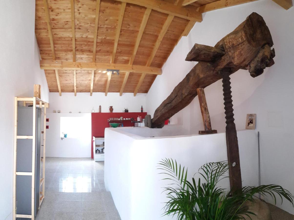 Quinta Quatro Ventos Bed & Breakfast Sertã Eksteriør bilde