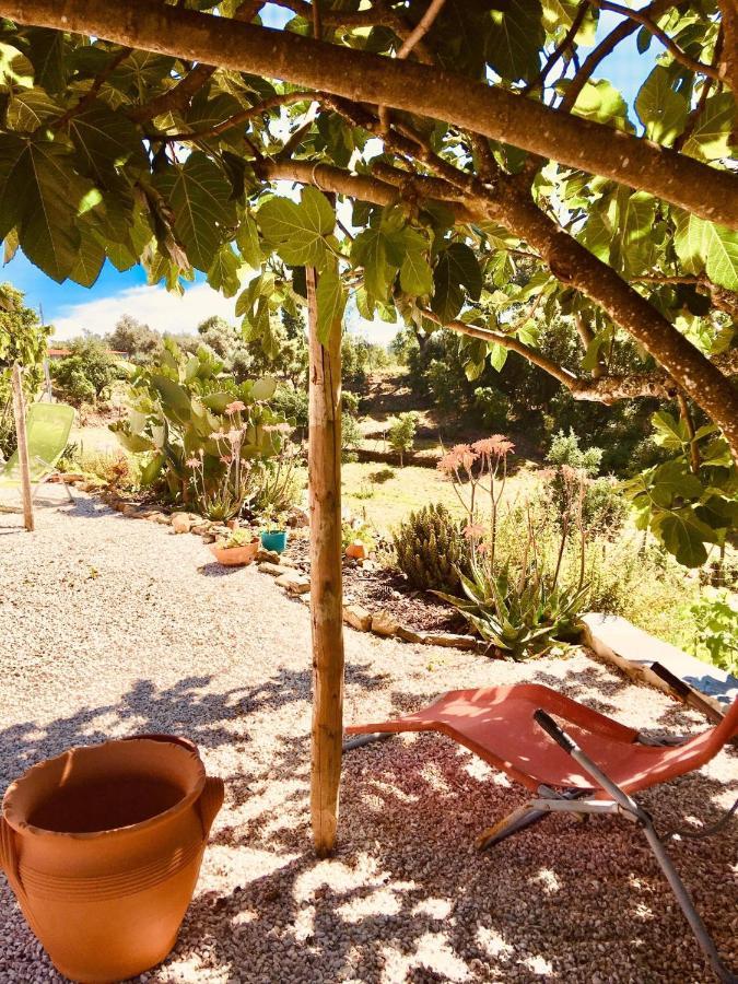 Quinta Quatro Ventos Bed & Breakfast Sertã Eksteriør bilde