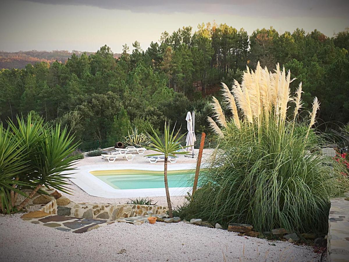 Quinta Quatro Ventos Bed & Breakfast Sertã Eksteriør bilde