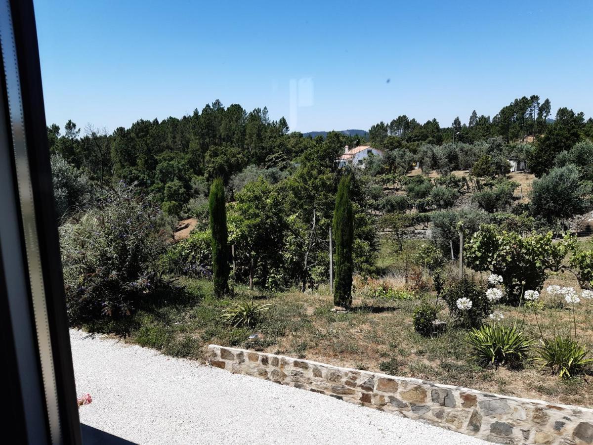 Quinta Quatro Ventos Bed & Breakfast Sertã Eksteriør bilde