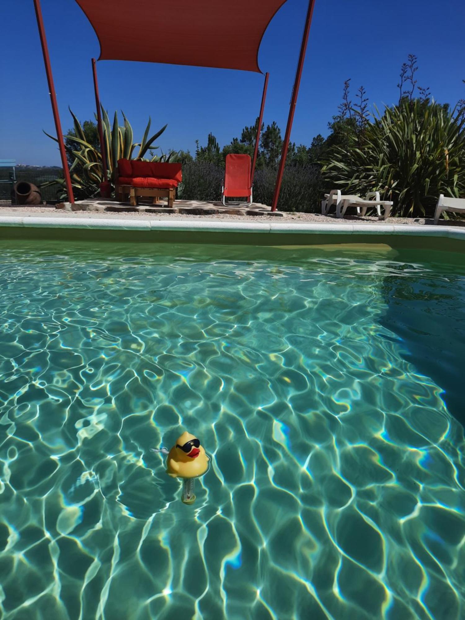 Quinta Quatro Ventos Bed & Breakfast Sertã Eksteriør bilde